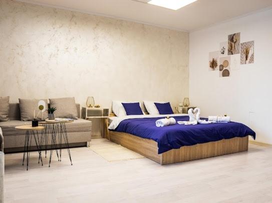 Center Cozy Apartment Szabadka Kültér fotó