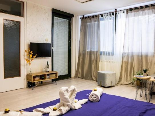 Center Cozy Apartment Szabadka Kültér fotó